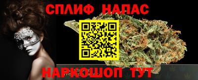 прущие грибы Можга