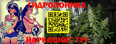 прущие грибы Можга