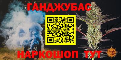 прущие грибы Можга