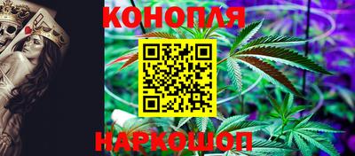 прущие грибы Можга