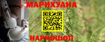 прущие грибы Можга