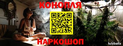 прущие грибы Можга