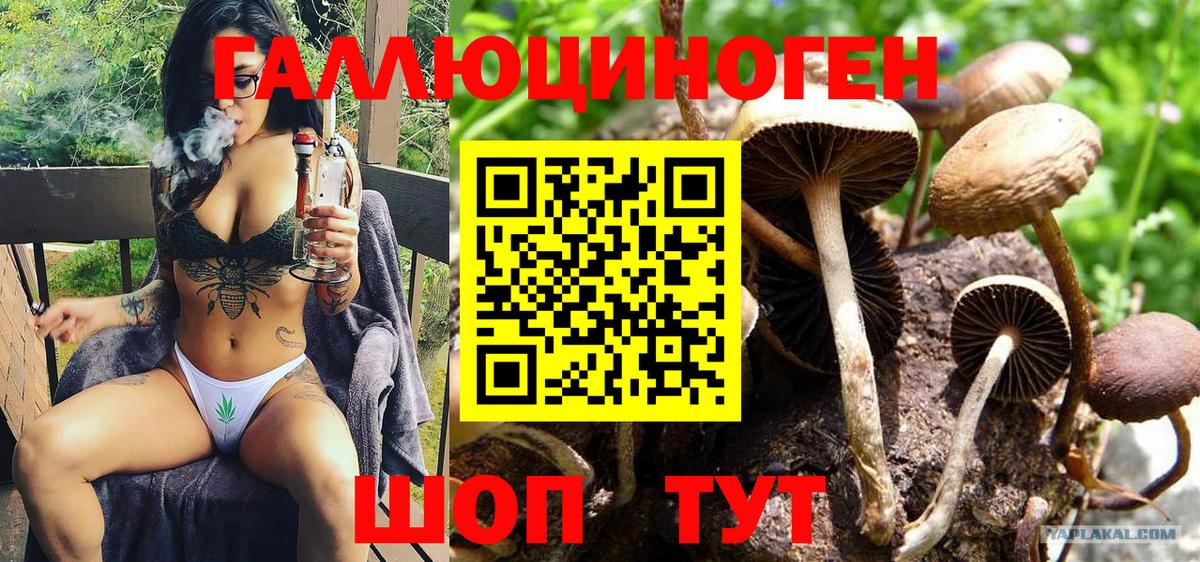 Псилоцибиновые грибы Psilocybe  Вход с VPN  Елабуга  Псилоцибиновые грибы MAGIC MUSHROOMS 